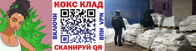 купить наркотики сайты  Елизово  Кокаин Fish Scale 