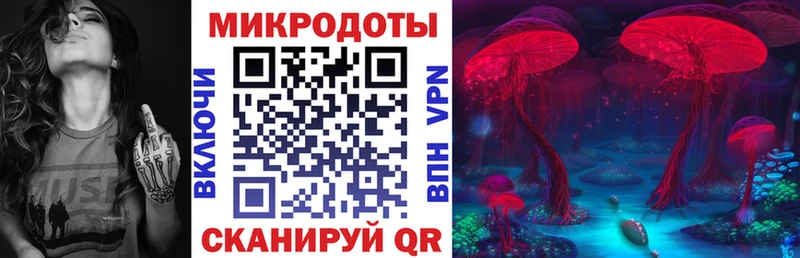 как найти   Елизово  Галлюциногенные грибы Magic Shrooms 