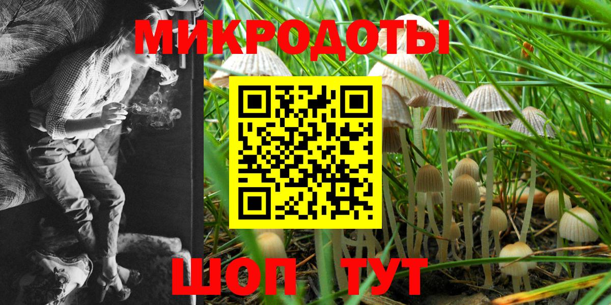 Псилоцибиновые грибы прущие грибы  Вход с VPN  Елизово  Галлюциногенные грибы ЛСД 