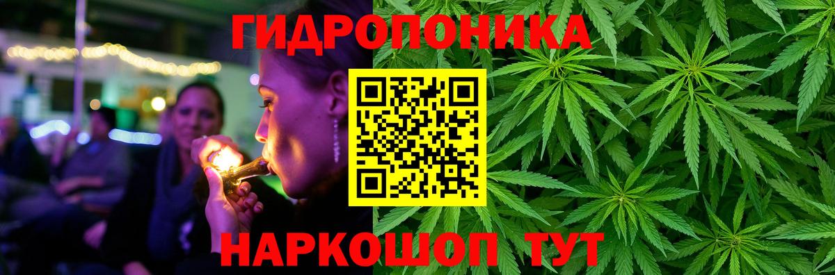 Каннабис сатива  Шишки марихуана ГИДРОПОН  Марихуана THC 21%  Вход с VPN  Елизово 